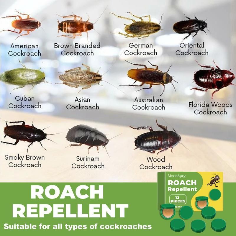 Moonspry Roach Repellent, Dormitory Kitchen Powerful Cleaning Cockroach