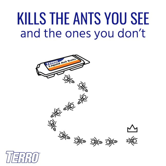 TERRO Ant Killer Liquid 6-Pack – Ant Bait Stations | Fast Ant Control